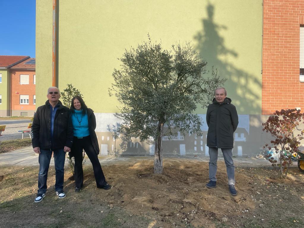 ulivo pace dalla chiesa 23 (12)