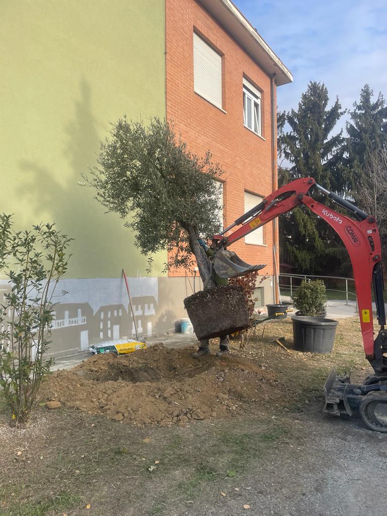 ulivo pace dalla chiesa 23 (7)