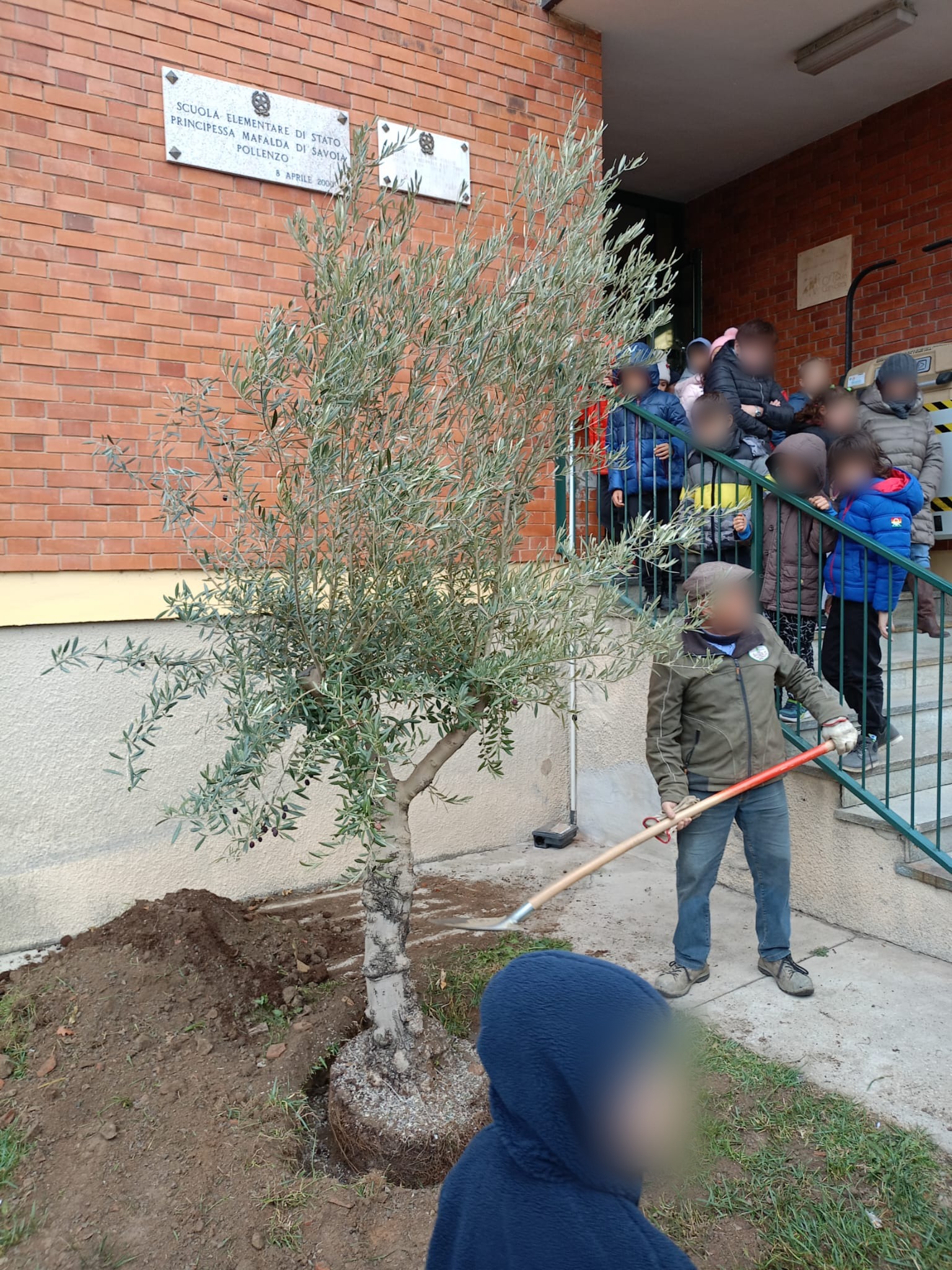 ulivo pollenzo 23 (6)