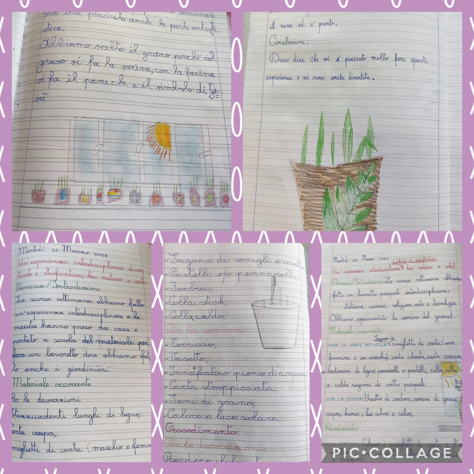 Primavera Pasqua Don Milani 24 (6)