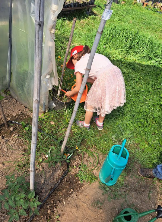Orto didattico San Michele 25 (7)